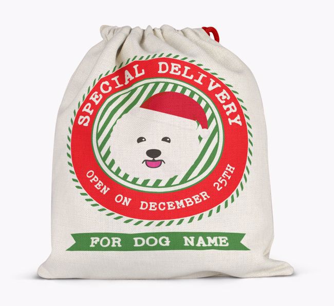 Special Delivery: Personalized {breedFullName} Santa Sack